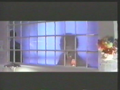 pdvd_003.jpg